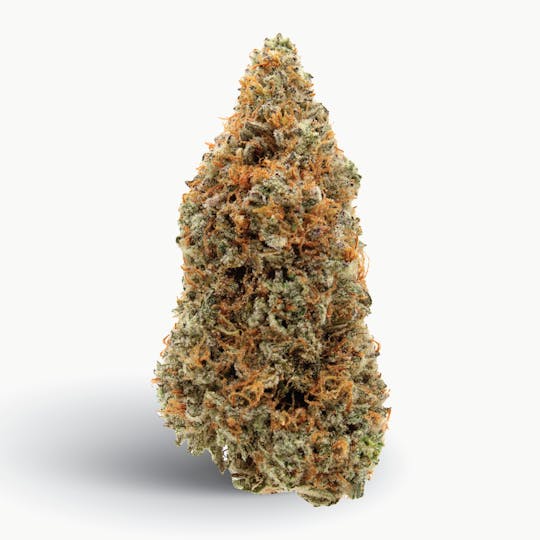 Gas Station Cultivation - Prizm Flower - 1