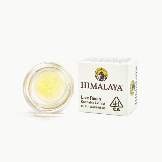 HIMALAYA - Garlic Grove (Live Resin Concentrate) - 1G - 1