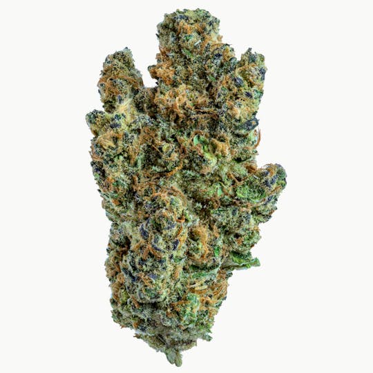 Gold Standard - GOLD STANDARD | GELATO 33 | 3.5G - 1