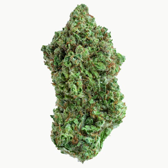 Gold Standard - GOLD STANDARD | NIMBUS SNACKS | 14G - 1