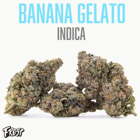 Frost - Banana Gelato 3.5g (Indica) - 1