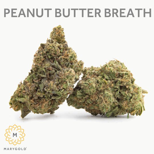 Marygold - Peanut Butter Breath 3.5g (34% THC Hybrid) - 1