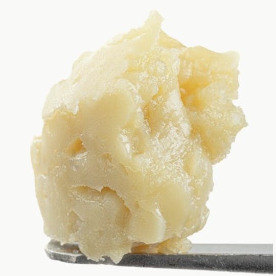 Animal - Papaya Sundae - 1G Live Rosin Cold Cure - 1