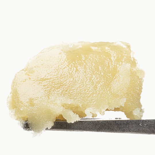 Animal - Gelato Cake - 1G Live Rosin Cold Cure - 1