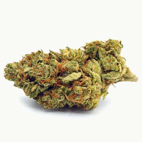 High Tide Organics - Lemon Tree | Greenhouse 3.5g - 1