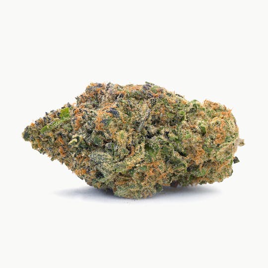 High Tide Organics - Purple Kush | Greenhouse 3.5g - 1