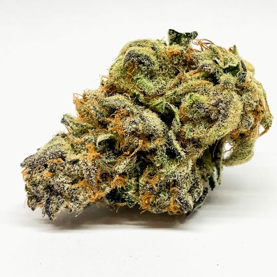 BeWell Organic Medicine - Tropicanna Banana 3.5g Flower - 1