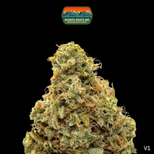 Rugged Roots - Rugged Roots | Rainbow Driver 3.5g Smalls - 1
