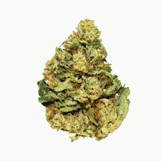 Smoakland - Exclusive - Ron Burgundy (H) - 28g - 1