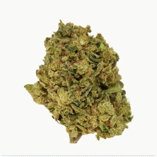 Smoakland - Exclusive - Purple Push POP (H) - 28g - 1