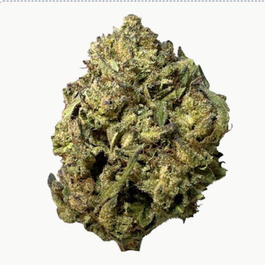 Smoakland - Sierra Hills - Tropical Gelato (H) - 28g - 1