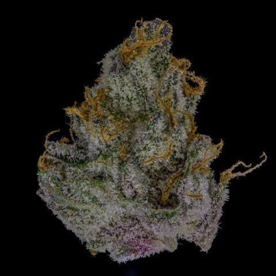 East Coast Cannabis - Ricky Bobby - 1