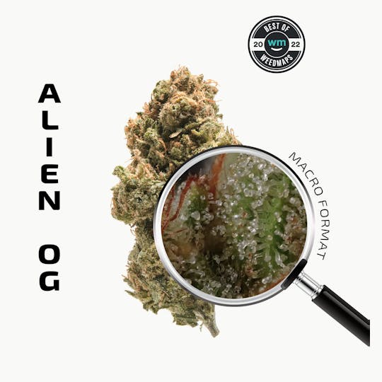 APE Premium Cannabis Corp - Alien OG (Hybrid) — 3.54g Premium Flower - 1