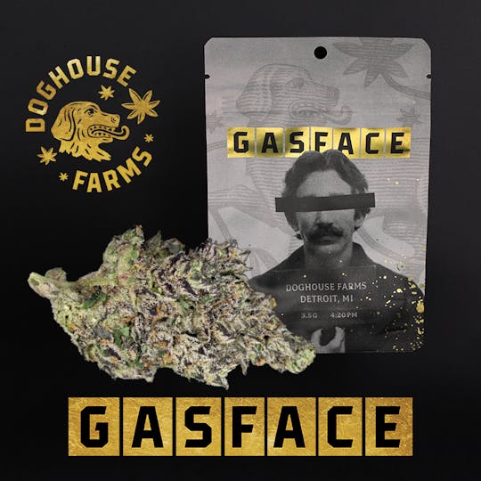 Doghouse Farms - Gasface - 3.5g Mylar Bar - Indica - 1