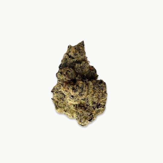 Indico - Platinum Lemon Cherry Gelato - Green Trap - 1