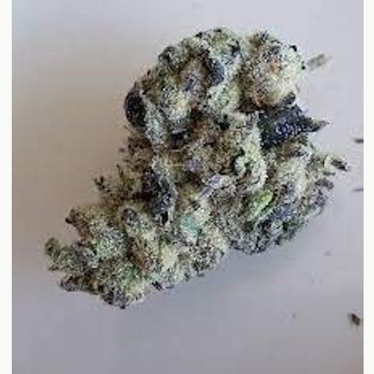 Original Intelligence - LA Pop Rocks (TKB X Z ANIMAL) - 3.5g Flower - 1