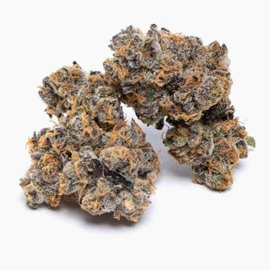 Purple Lotus - Blue Chip - The Glove - 1