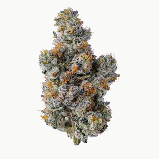 Purple Lotus - Blue Chip - Cookies & Cream - 1