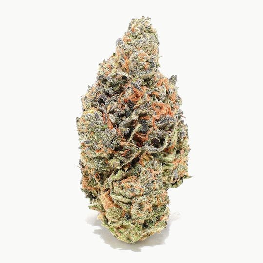 Purple Lotus - Blue Chip - Jealousy - 1