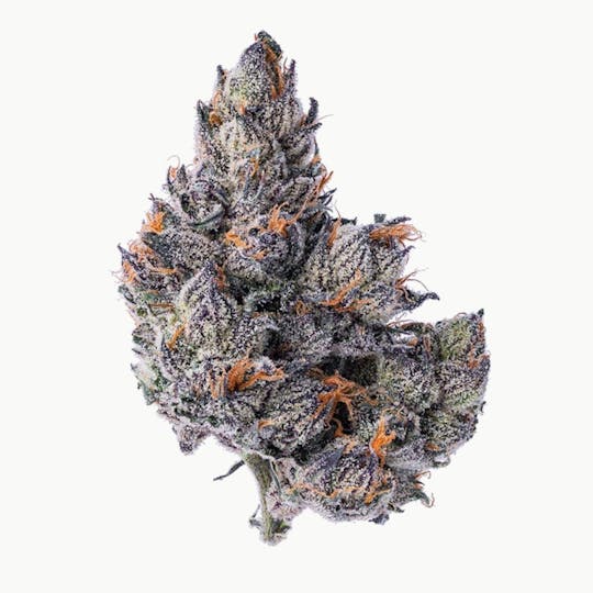 Purple Lotus - Blue Chip - White Runtz - 1