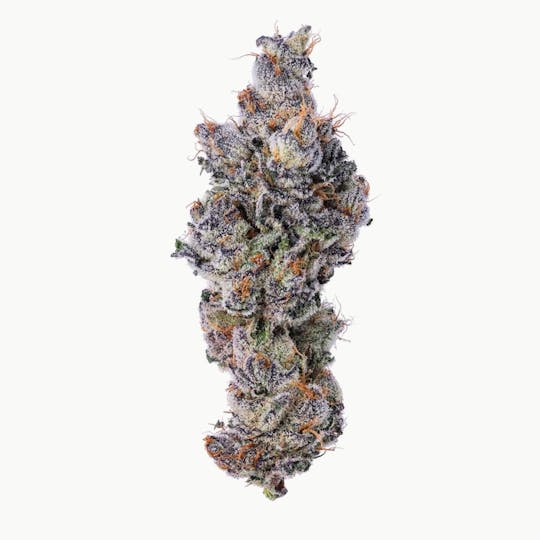 Purple Lotus - Blue Chip - Purple Escobar - 1