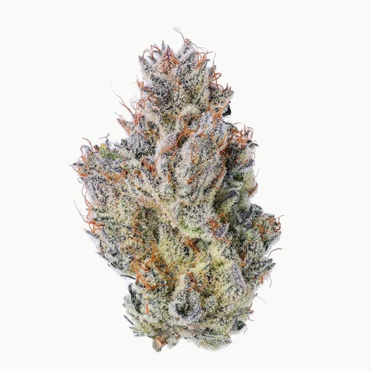 Purple Lotus - Blue Chip - Acai Sherbert - 1