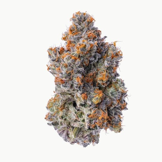 Purple Lotus - Blue Chip - Biscotti Pancakes - 1