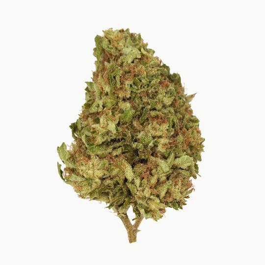 Smoakland - Xclusivez - Wappa (H) - 28g - 1