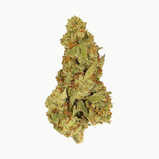 Smoakland - Eighthz - Jealousy (H) - 3.5g - 1