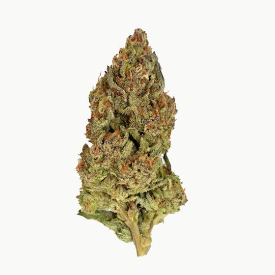 Smoakland - Black - Alaskan Ice (H) - 14g - 1