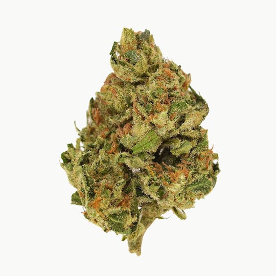 Smoakland - Black - RS11 (H) - 14g - 1
