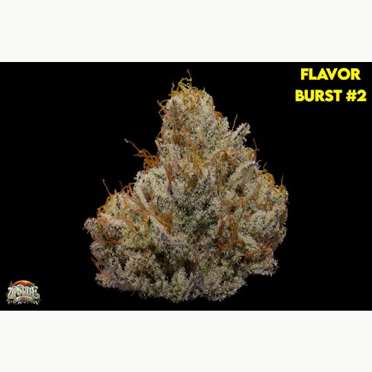 Upstate Gardens - Flower: Flavor Burst # 2 - 1