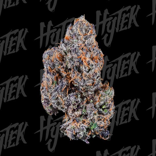 Hytek - HYTEK | PINK RUNTZ | BULK DELI FLOWER - 1
