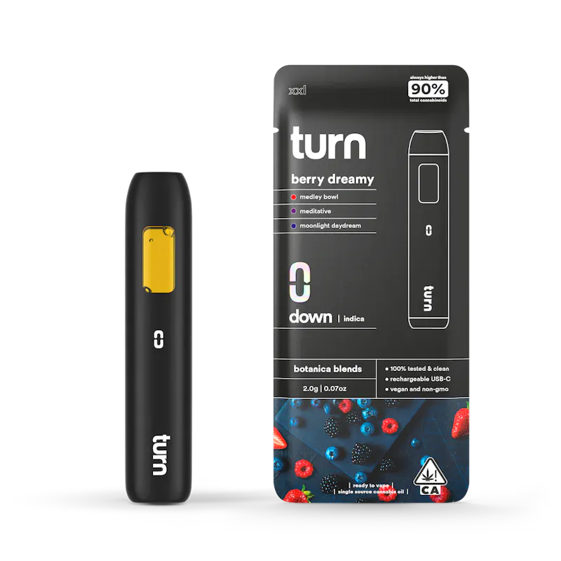turn Berry Dreamy Disposable 2g disposable