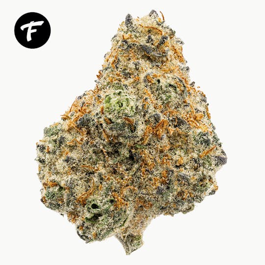 Forte Cannabis - Cadillac Runtz - 22.3% THC - 1