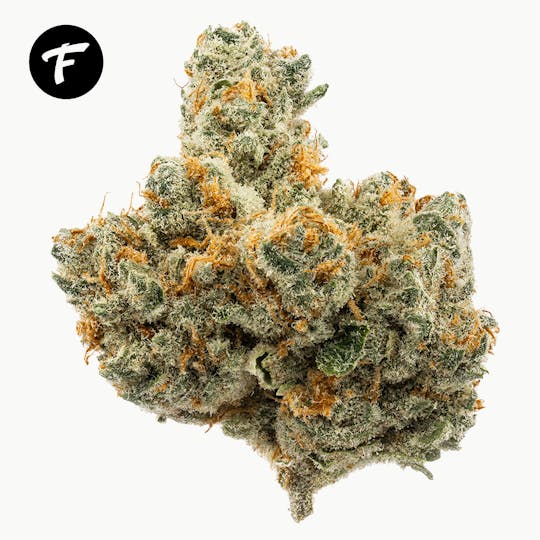 Forte Cannabis - RS-11 - 25.35% - 1