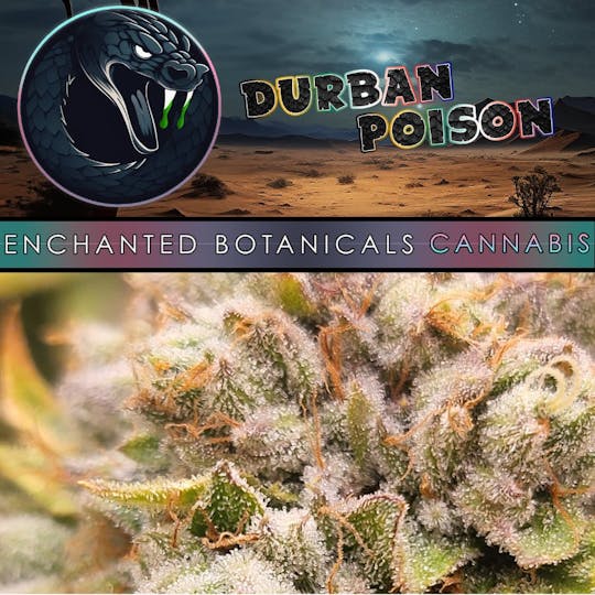 Enchanted Botanicals - Enchanted Botanicals | Durban Poison | Flower - 1