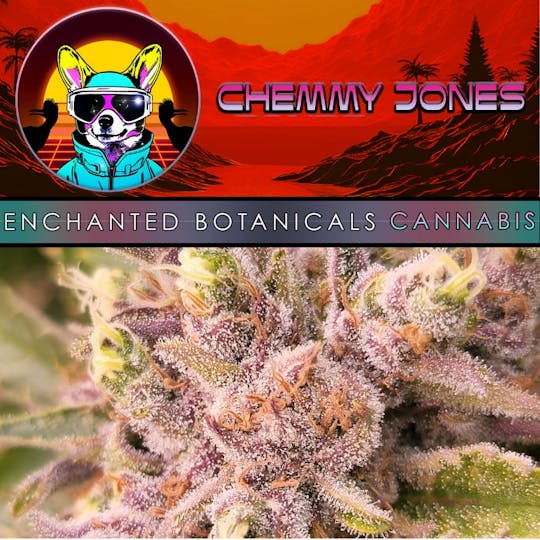 Enchanted Botanicals - Enchanted Botanicals | Chemmy Jones | Flower - 1