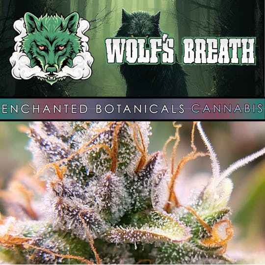 Enchanted Botanicals - Allsick - Wolf's Breath by Enchanted Botanicals - 1