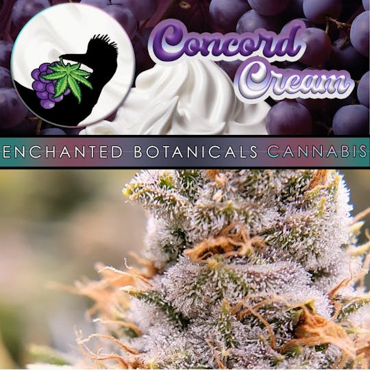 Enchanted Botanicals - Enchanted Botanicals | Concord Cream | Flower - 1