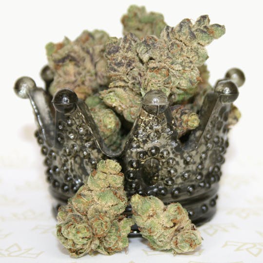 Dutchess of Denver - Red Runtz - 1