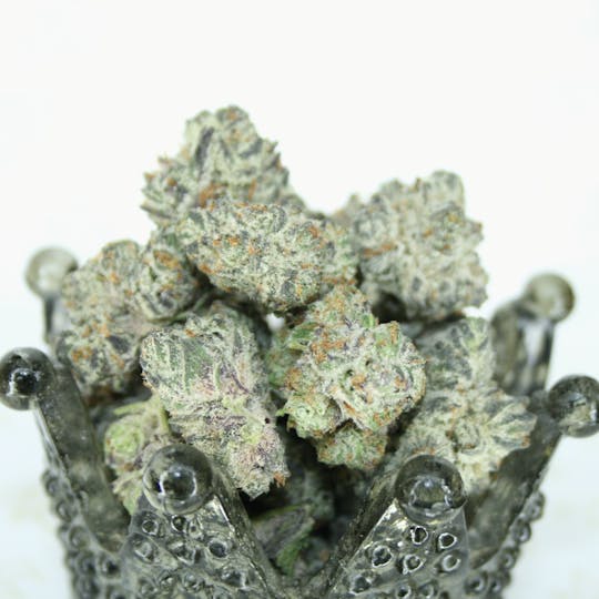 Dutchess of Denver - Oreoz - 1