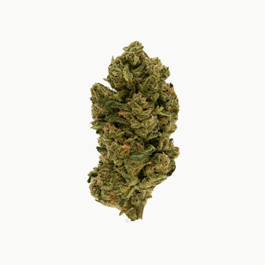 Smoakland - Exotix - Blue Dream (S) - 14g - 1