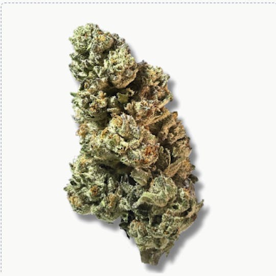 Smoakland - Exotix - Blue Dream (S) - 14g - 1