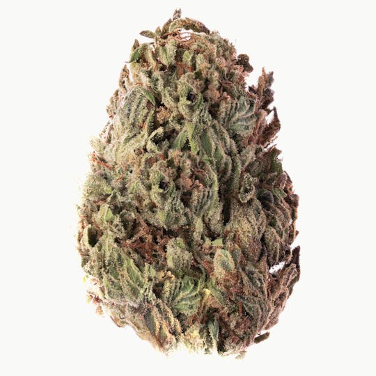 Joy Ridge Farms - Gush Mints Flower - 1