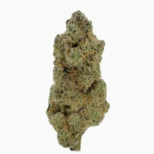 Silver Therapeutics - Platinum Garlic - 3.5g Prepackaged Flower - Silver Therapeutics - 1