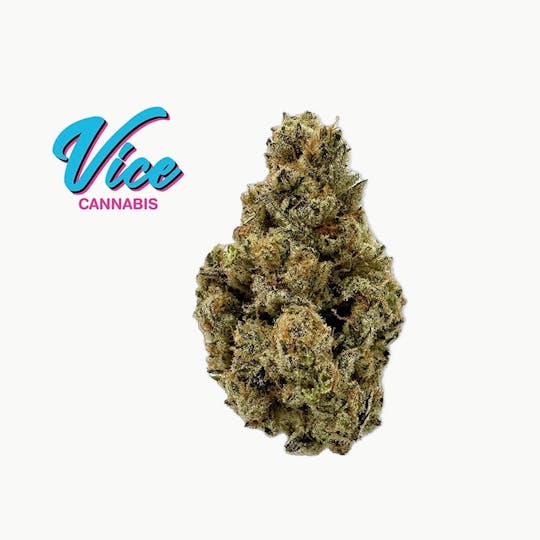 Vice Cannabis - SS1 (Sunset Sherb x Gelato): Flower - 1
