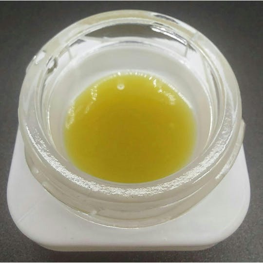 Ripple Wellness - Concentrate - Tier 3 - High Terpene Live Rosin - Original Glue #4 - 1