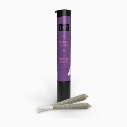 1937 Cannabis - Candy Glue - 2pk - 1