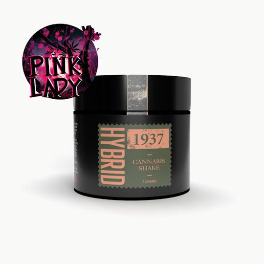 1937 Cannabis - Pink Lady - Shake/Trim - 1